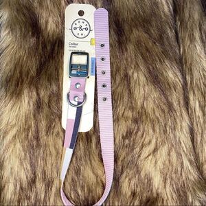 Medium dog collar  